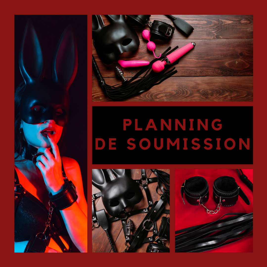 Planning de soumission