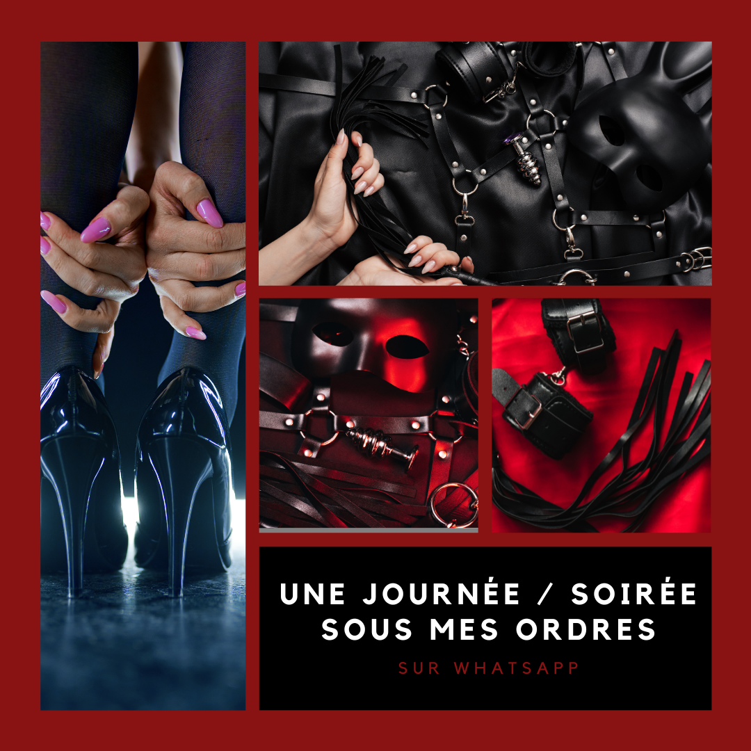 Une journée sous mes ordres