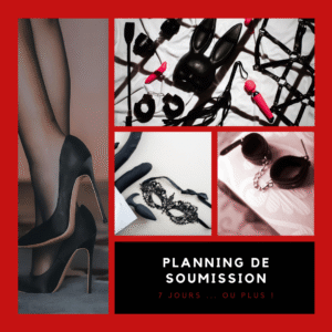 Planning de soumission