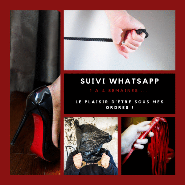 Suivi WhatsApp