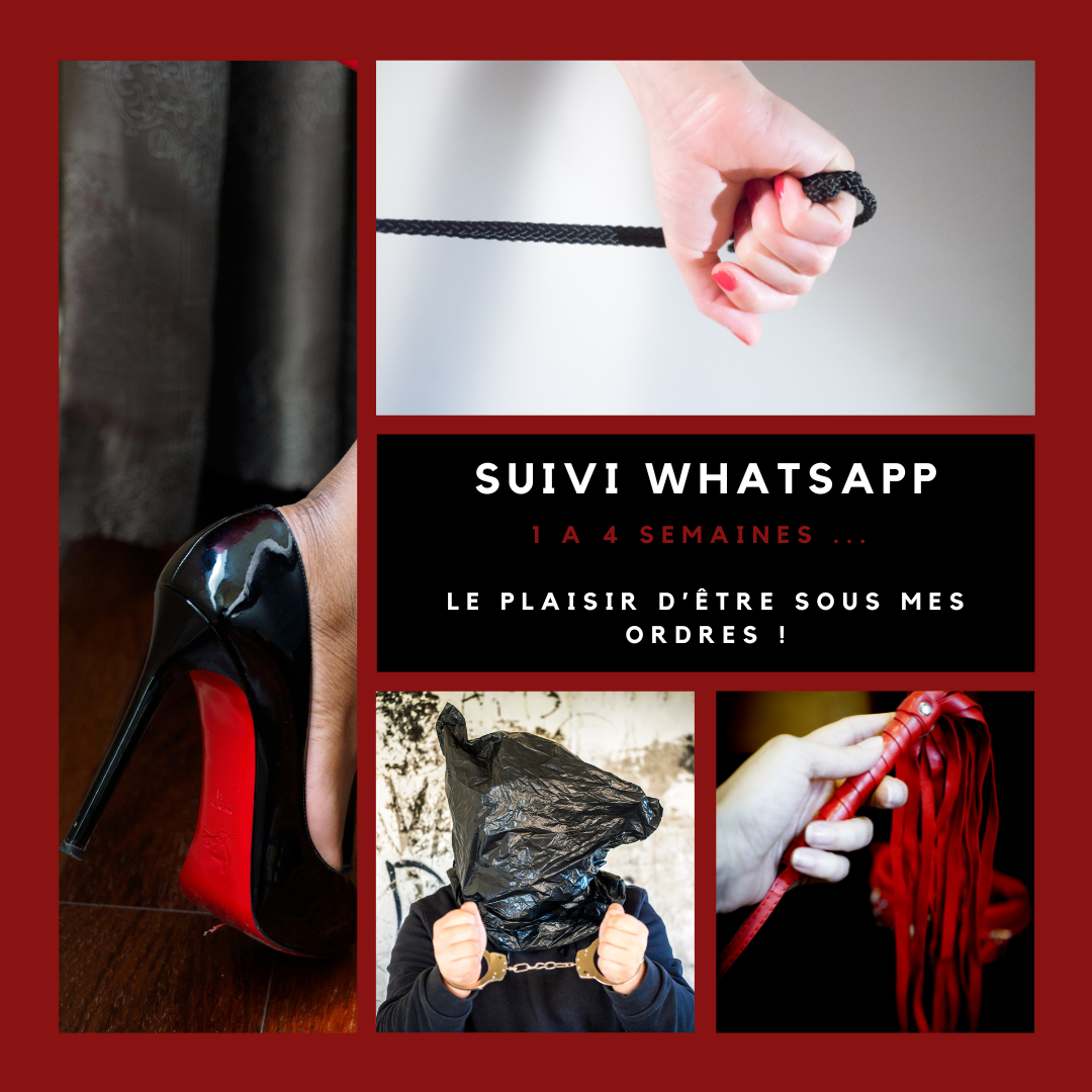 Suivi WhatsApp